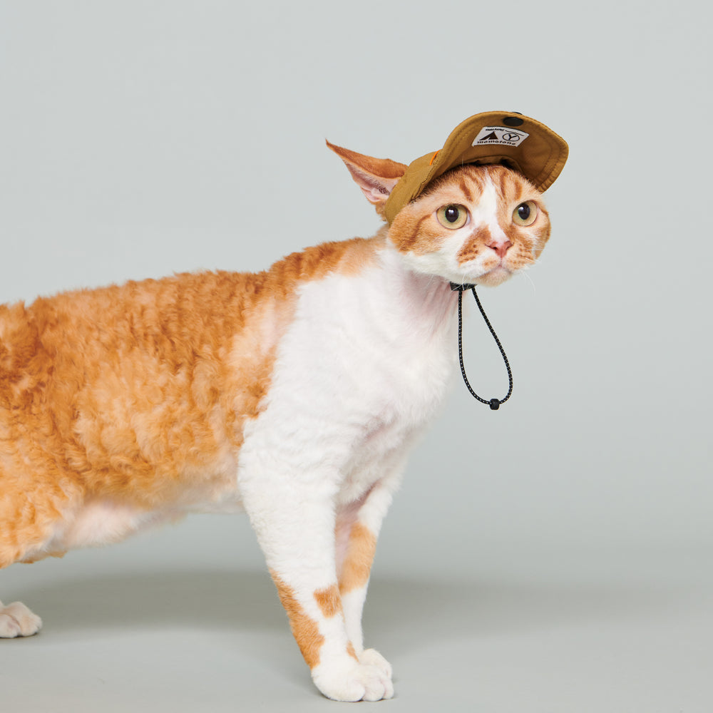 Yama Paws / Baram Cap 芥末黃
