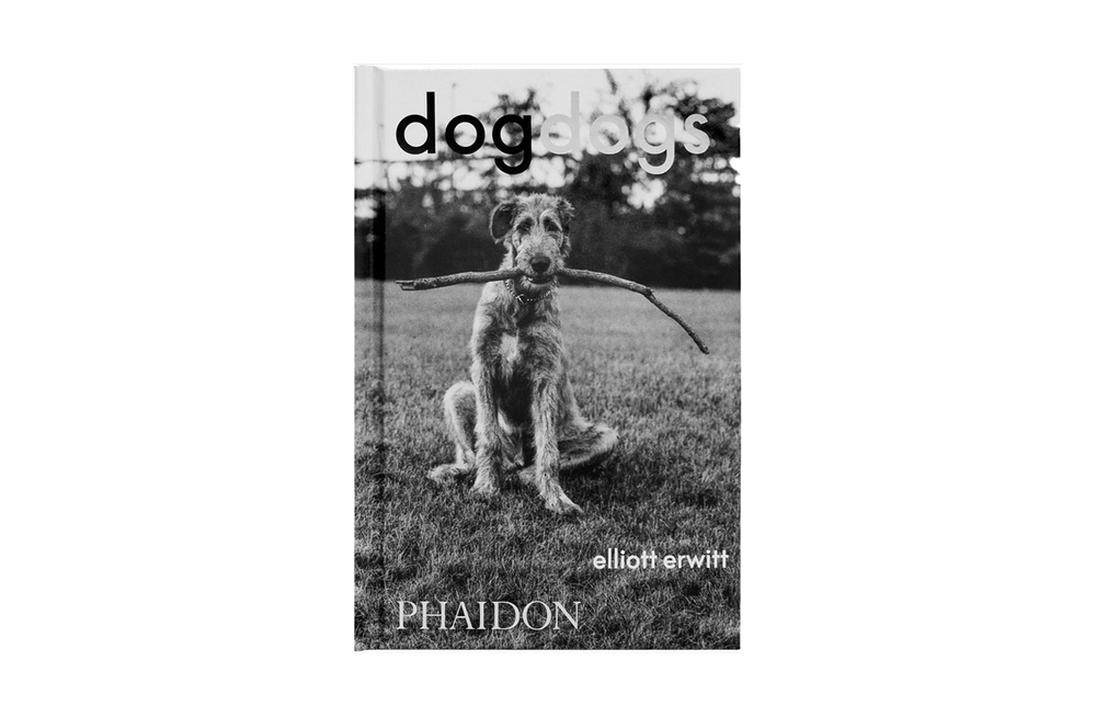 DogDogs Elliott Erwitt