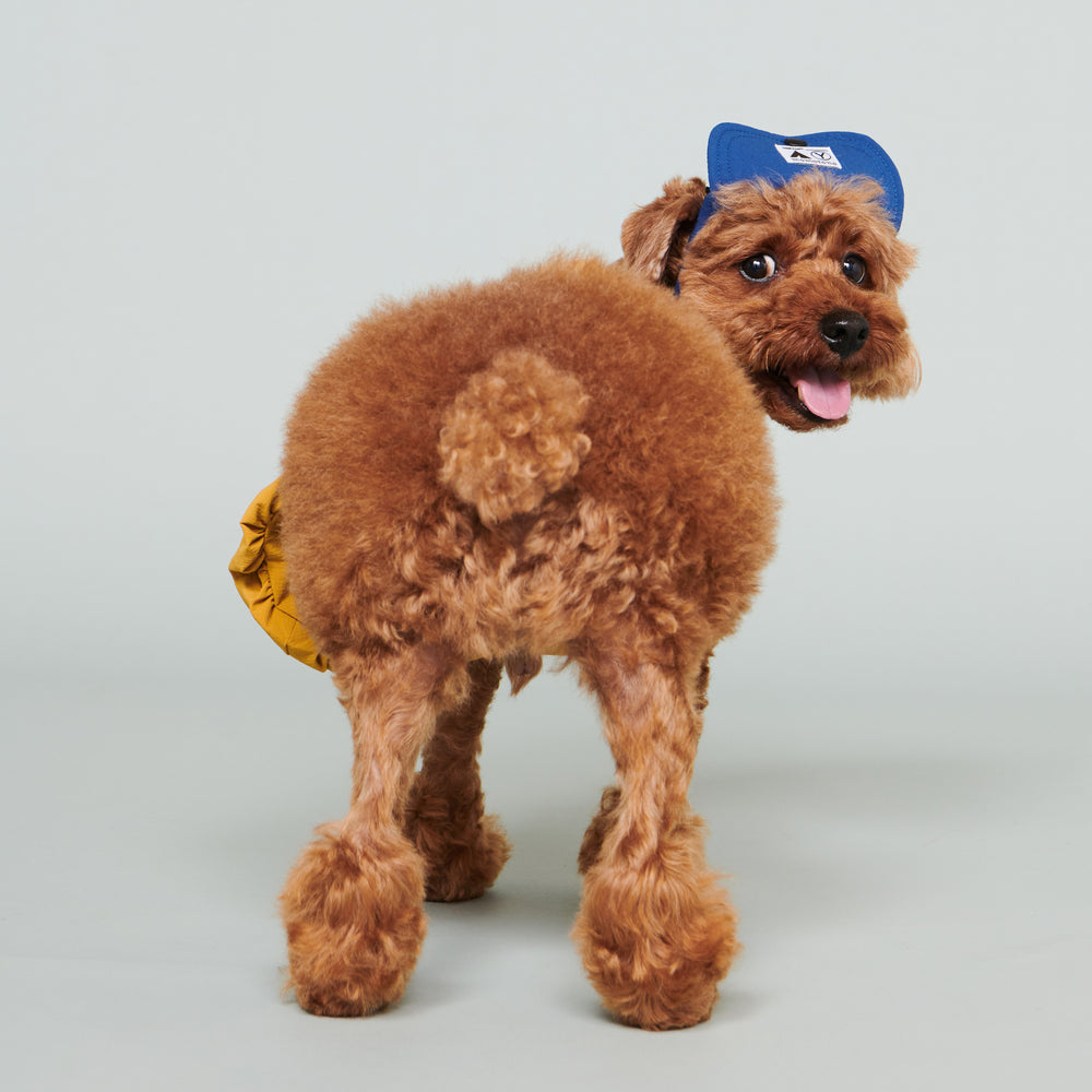 Yama Paws / Baram Cap 海軍藍