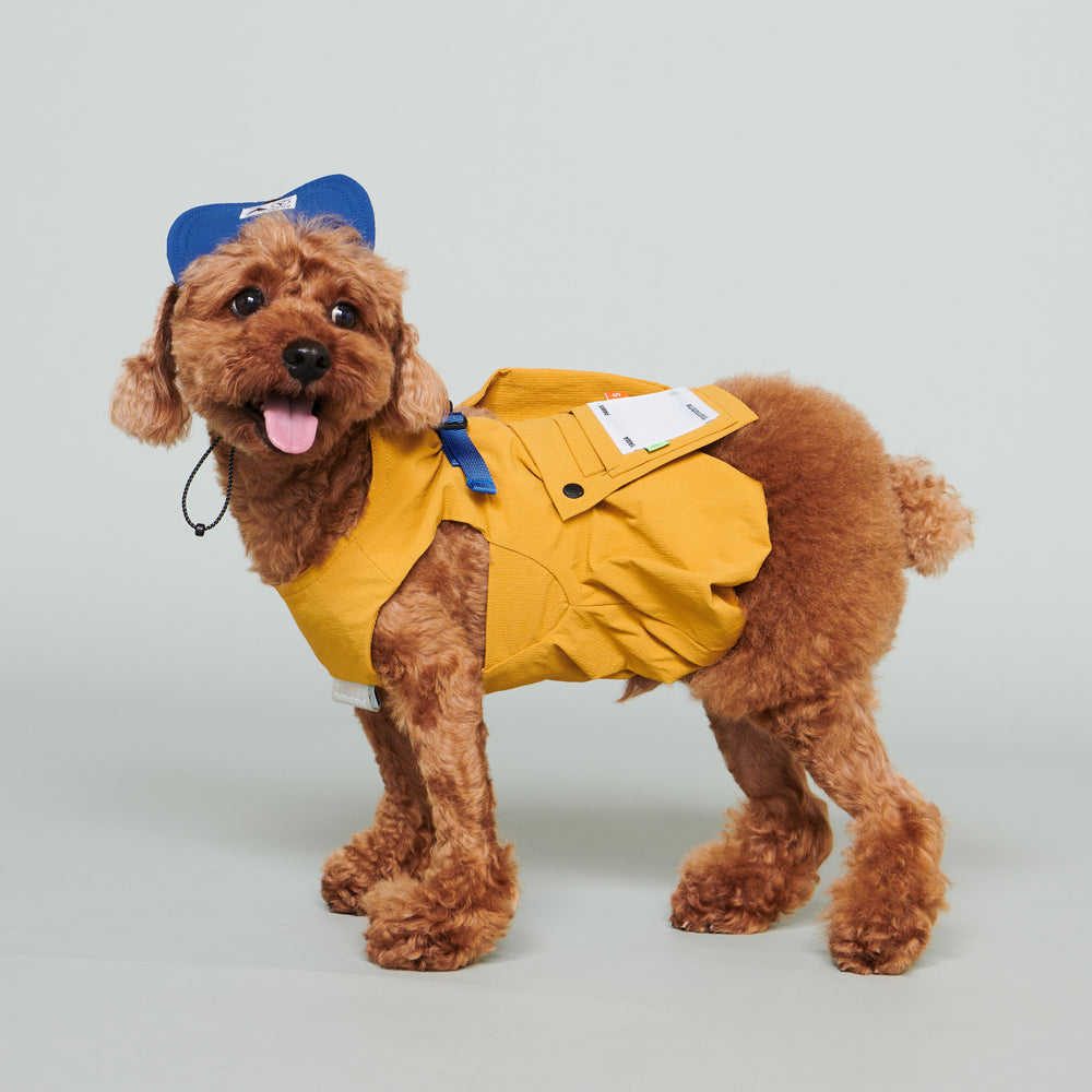 Yama Paws / Baram Cap 海軍藍