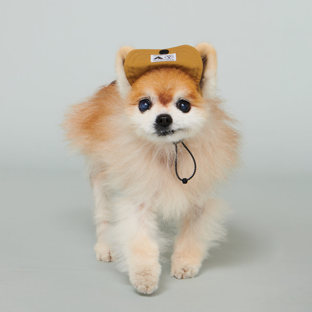 Yama Paws / Baram Cap 芥末黃