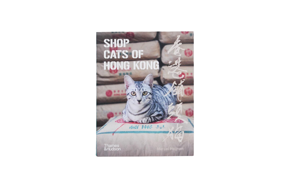 shop cats of hong kong cover