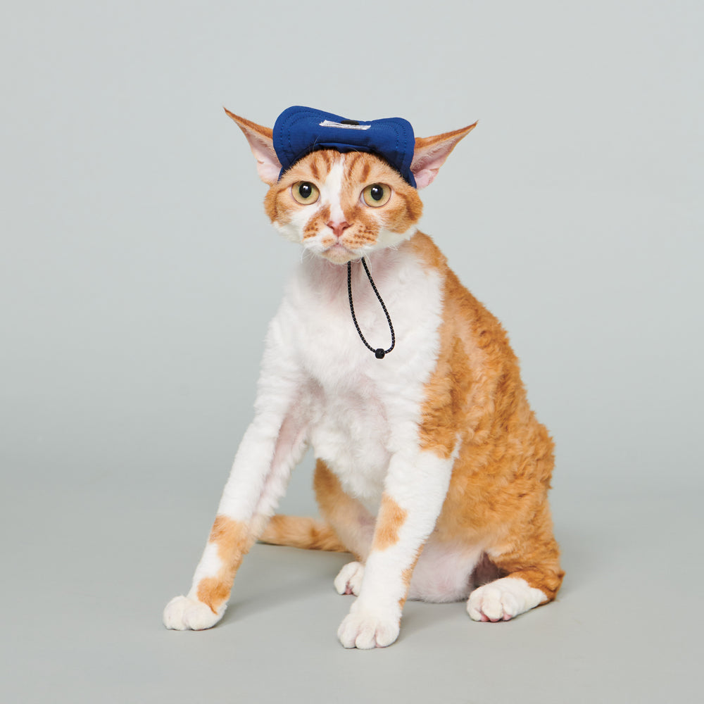 Yama Paws / Baram Cap 海軍藍