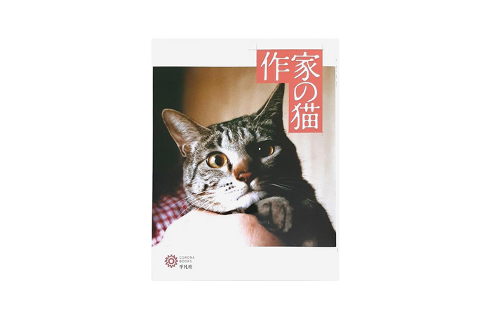 writers and their cats