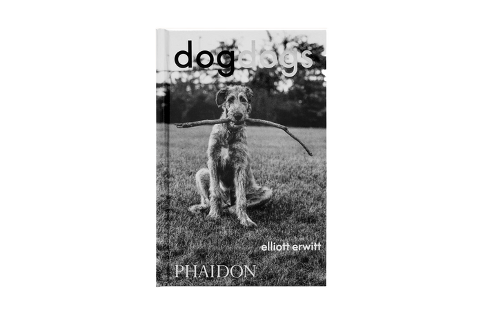 DogDogs Elliott Erwitt