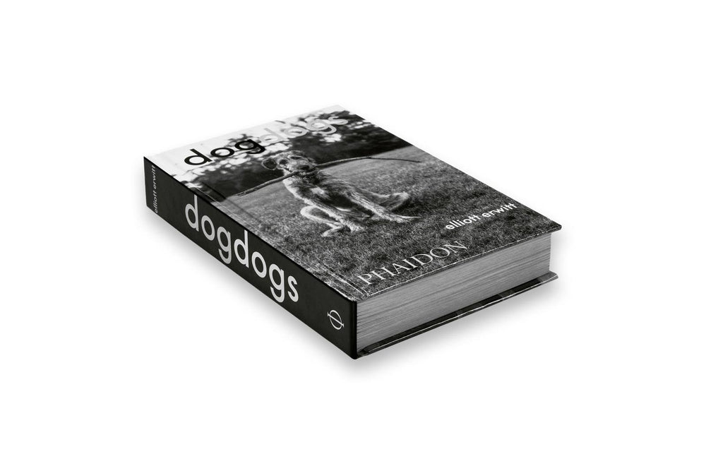 dogdogs cover