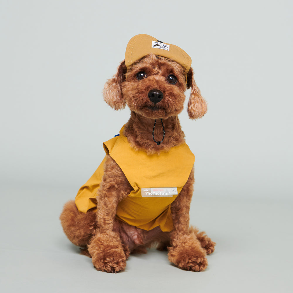 Yama Paws / Baram Cap 芥末黃