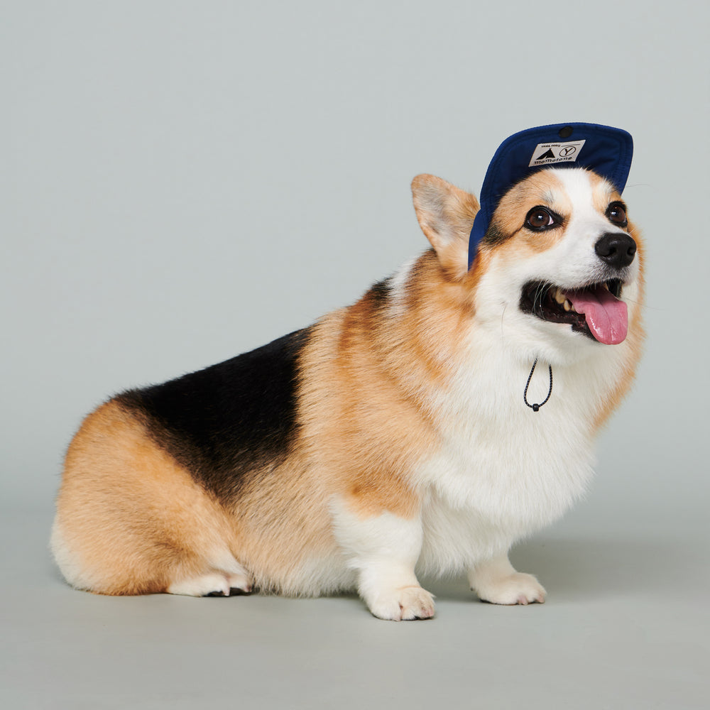 Yama Paws / Baram Cap 海軍藍