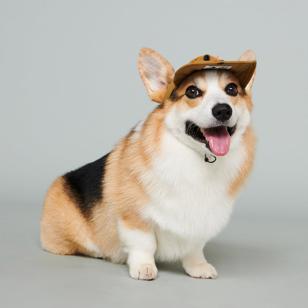 Yama Paws / Baram Cap 芥末黃
