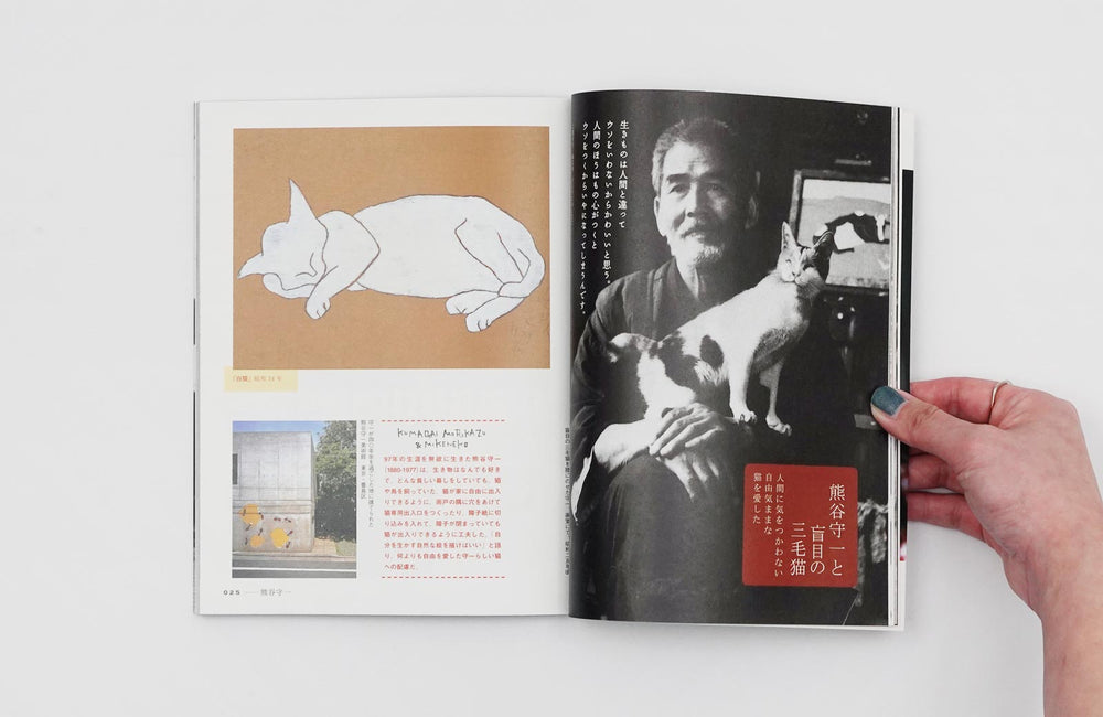 Kumagai Morikazu and cat