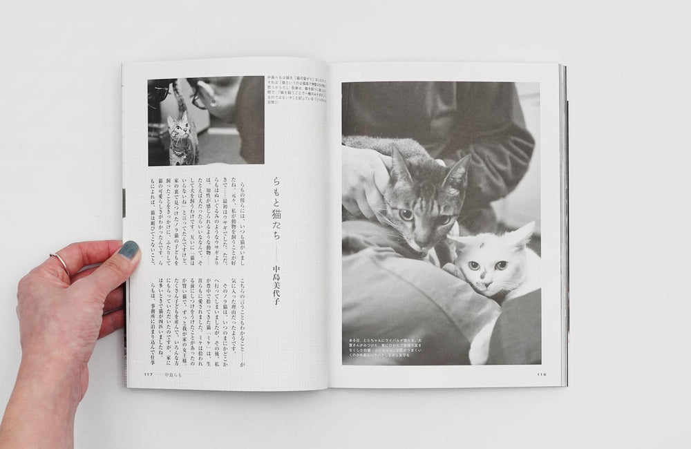 作家の猫