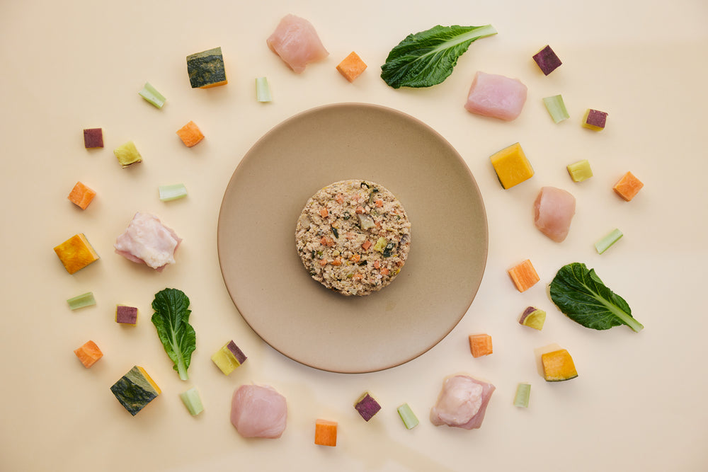 CoCo Gourmet 狗狗即食鮮食包 - 雞肉&蔬菜 100g