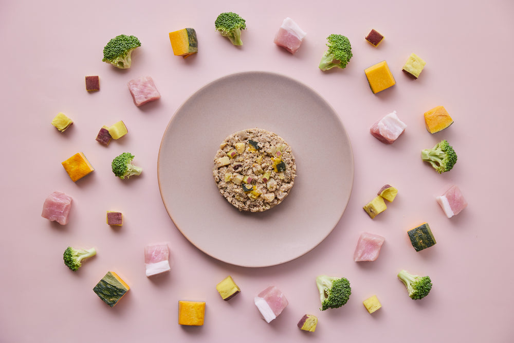 CoCo Gourmet 狗狗即食鮮食包 - 豬肉&綠花椰菜 100g