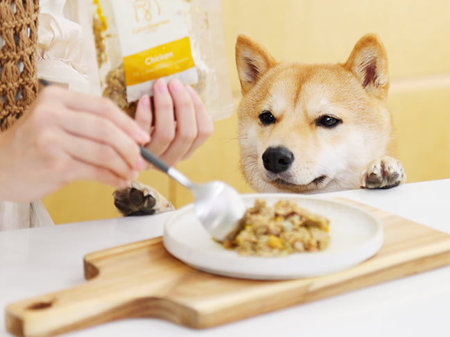 CoCo Gourmet