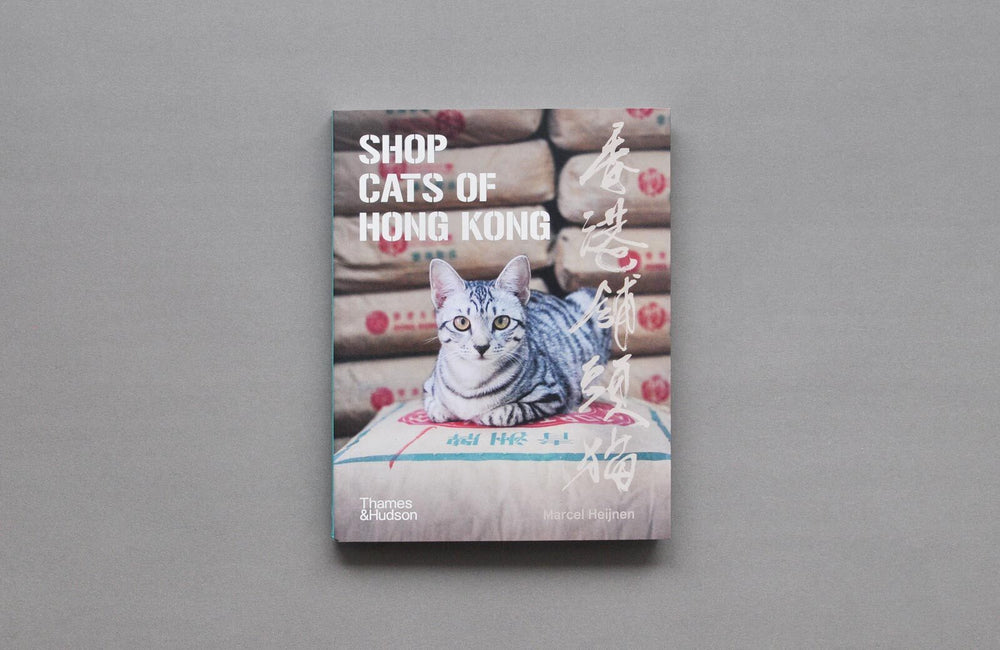 shop cats of hong kong