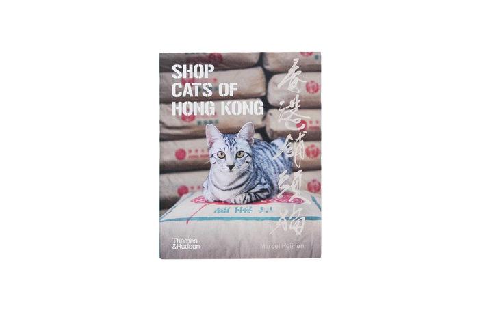 shop cats of hong kong cover