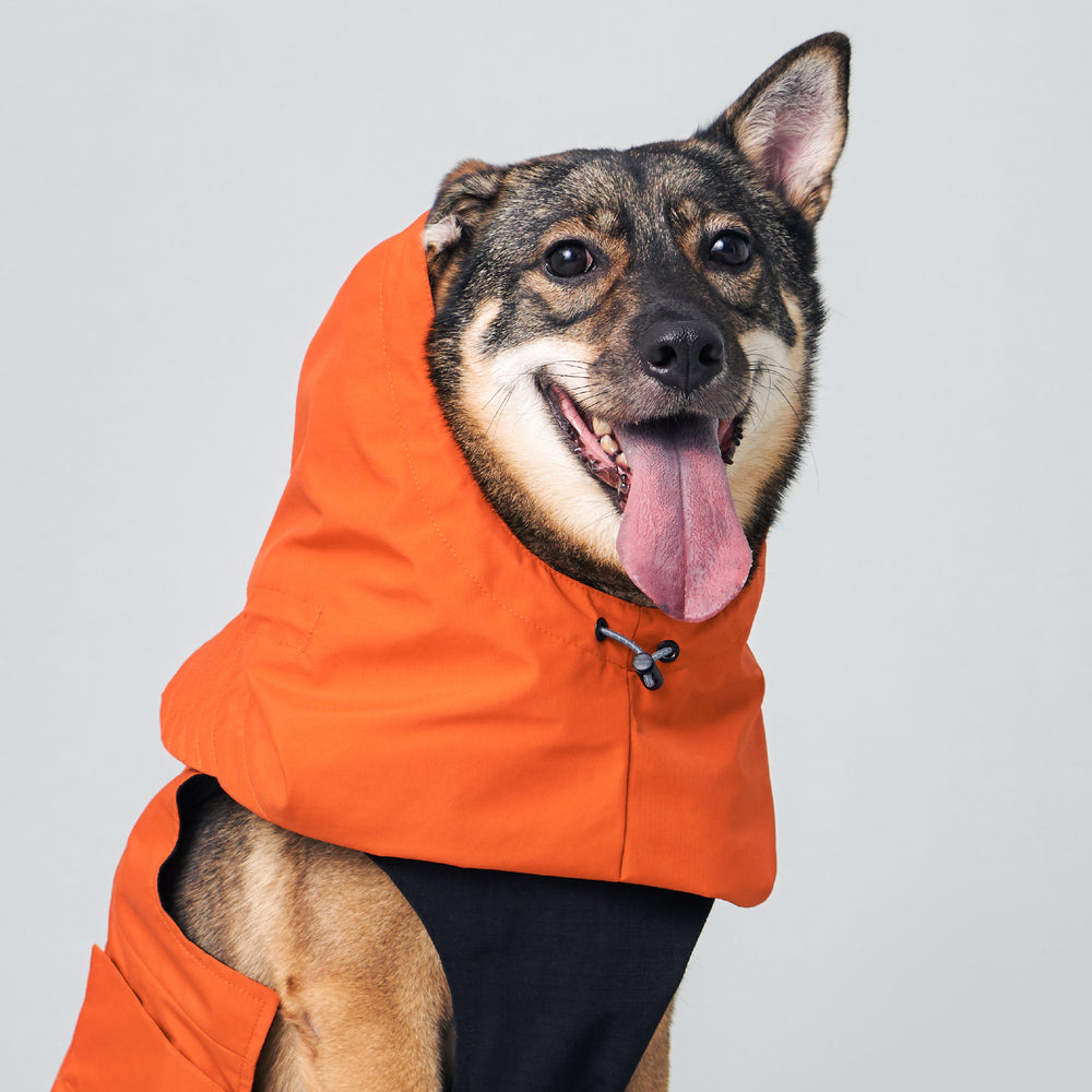Yama Paws / Sade Rain Parka 橘