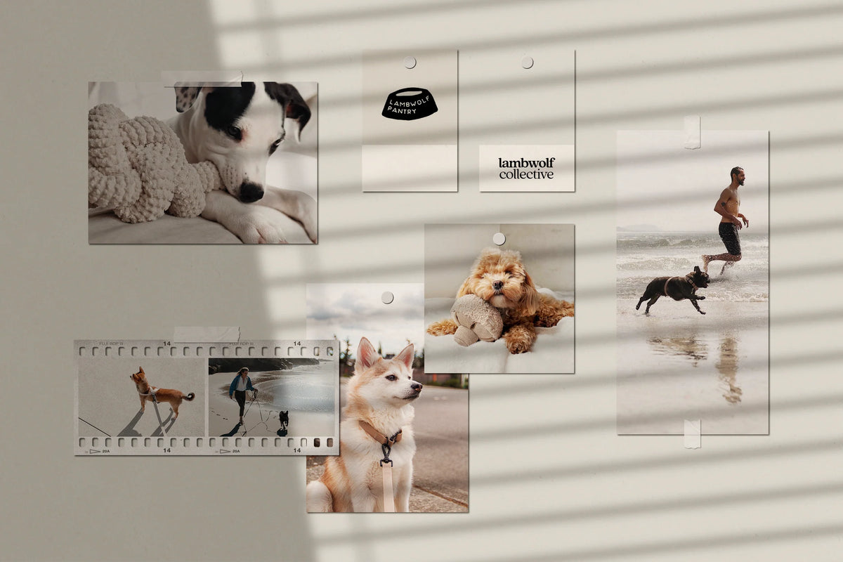 Lambwolf Collective