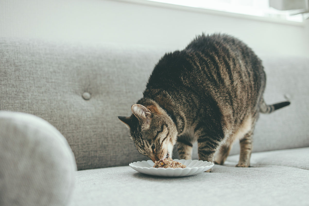 Miao Gourmet